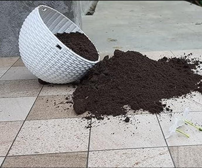 Cyclosinone Herbicide Vermicompost Fertilizer