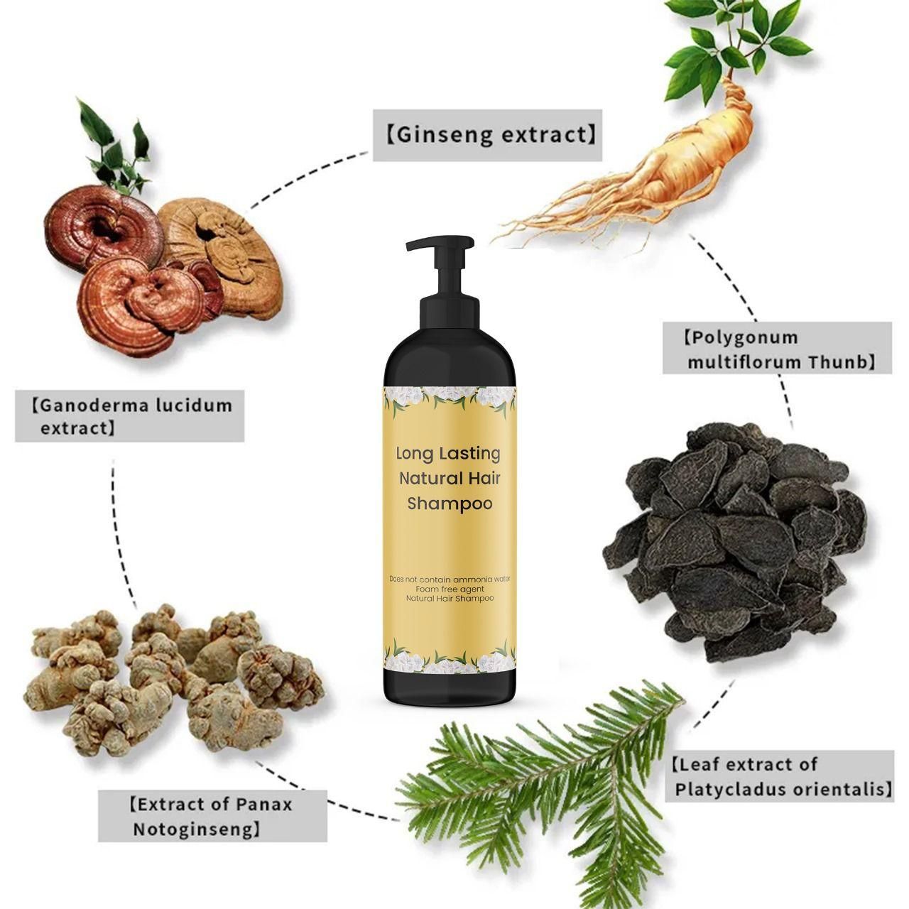 Japanese Long Lasting Natural Hair Dye Shampoo (Buy 1 Get 2 Free)