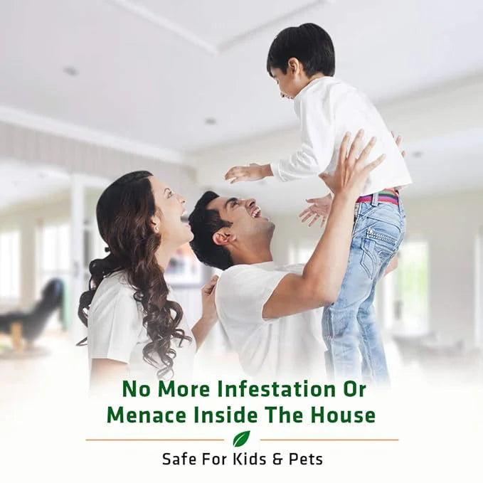 Termite Killer Spray - Effective Pest solution for your home (Pack of 3)