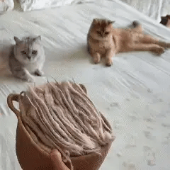 FurSweep™ Pet Static Hair Removal Glove