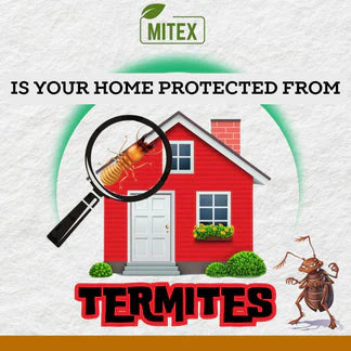 Termite Killer Spray - Effective Pest solution for your home (Pack of 3)