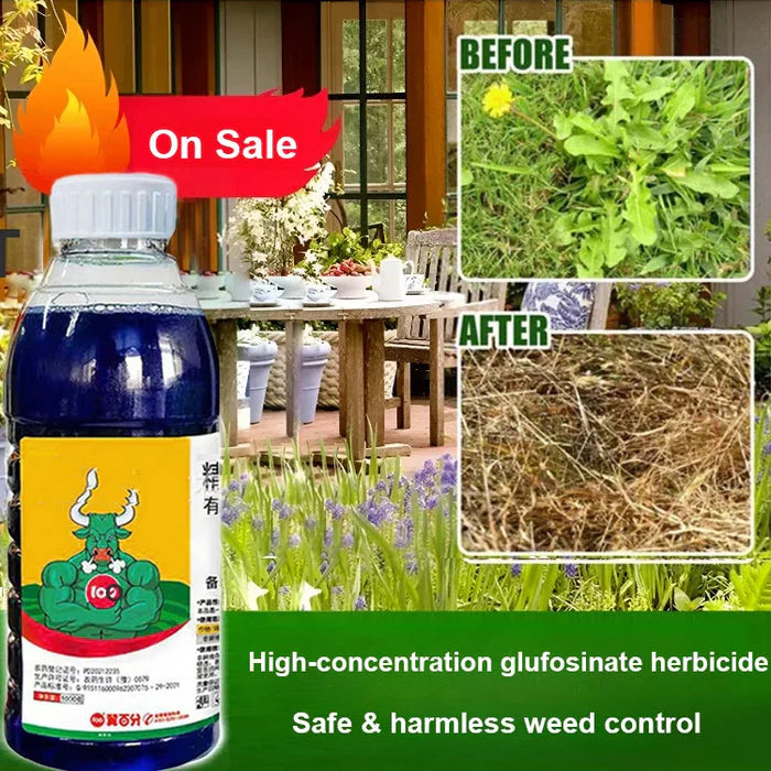 High Concentration Glufosinate Herbicide (Buy 1 Get 1 Free)