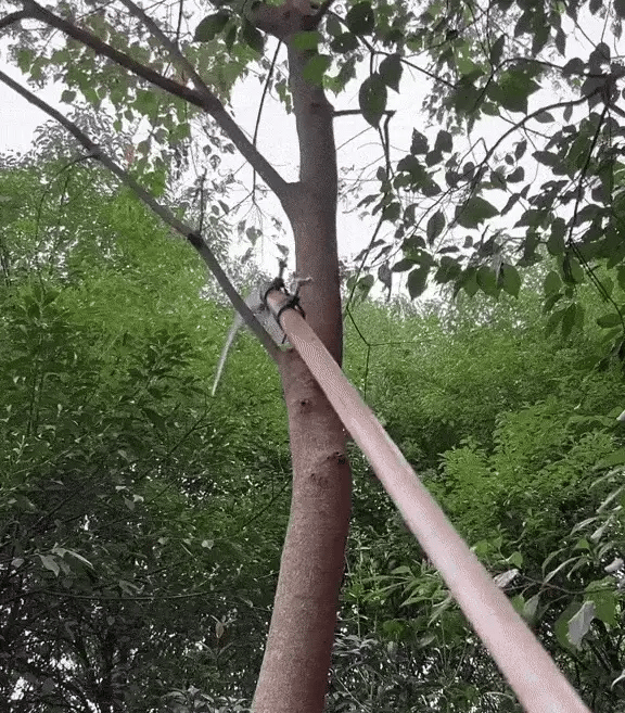 Multifunctional Agricultural Sickle (Hasiya/Daranti)